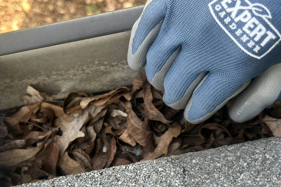 Gutter Cleaning Pompano Beach FL